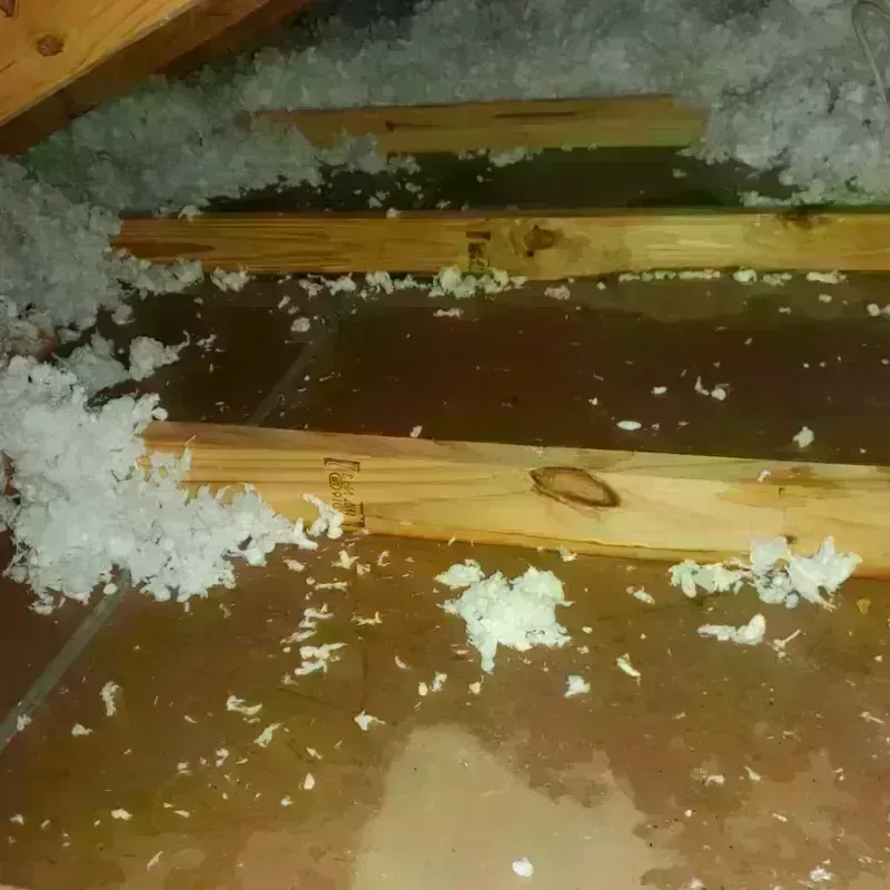 Attic Water Damage in Toronto, OH