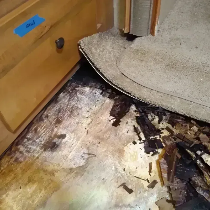 Wood Floor Water Damage in Toronto, OH